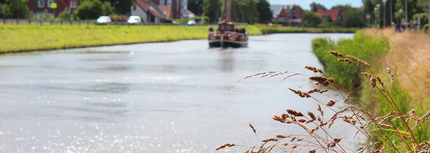 header-2-schilf.jpg